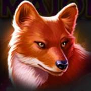 Tiger Jungle Hold and Win: Volpe