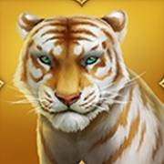 Tiger Tiger: Tigre