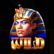 Times of Egypt Pharaoh's Reign: Selvaggio