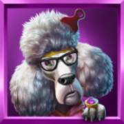 Top Dawgs: Barboncino