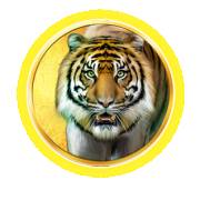 Trump It Deluxe Epicways: Tigre