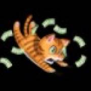 Twister Wilds: Gatto