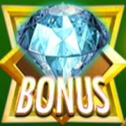 Vegas Fortune: Bonus