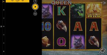 Viking Queen: La scommessa