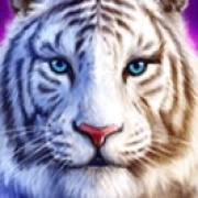 Water Tiger: Selvaggio