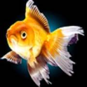 Water Tiger: Pesce
