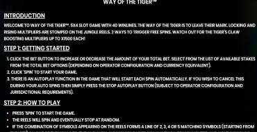 Way of the Tiger: Regole