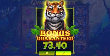 Way of the Tiger: Caratteristiche uniche