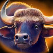 Way of the Tiger: Bufalo