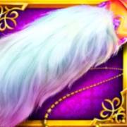 Well of Wishes: Zampa di coniglio