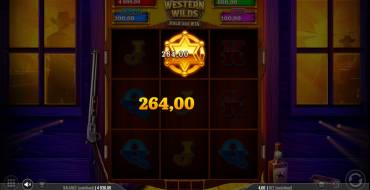Western Wilds Hold & Win: Vincite