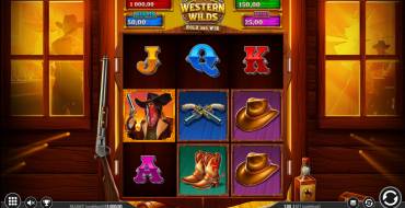 Western Wilds Hold & Win: Interfaccia