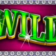 Wheel of Fortune: Ruby Riches: Selvaggio