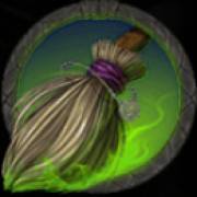 Wicked Witch: Simbolo della scopa