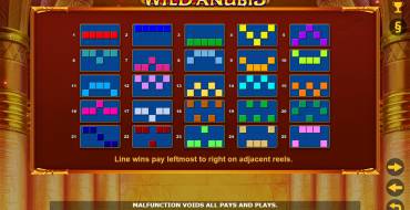 Wild Anubis: Regole