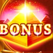 Wild Anubis: Spargimento