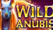Slot Wild Anubis
