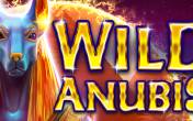 Slot Wild Anubis