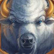 Wild Buffalo: Selvaggio
