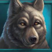 Wild Buffalo: Lupo