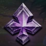 Wild Expedition: Club