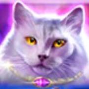 Wild Hearts: Gatto