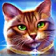 Wild Hearts: Gatto