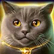 Wild Hearts: Gatto soffice