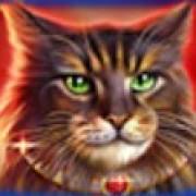 Wild Hearts: Coon del Maine