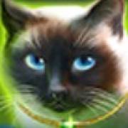 Wild Hearts: Gatto russo