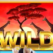 Wild Herd: Selvaggio