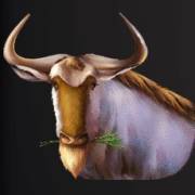 Wild Herd: Bufalo