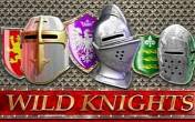 Slot Wild Knights