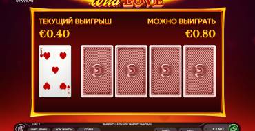 Wild Love: Gioco Ris