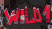Slot Wild One