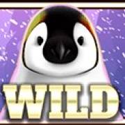 Wild Penguin: Selvaggio