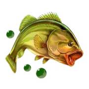 Wild Survivor: Pesce persico