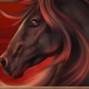 Wild Wild Horses: Cavallo marrone