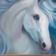 Wild Wild Horses: Cavallo bianco