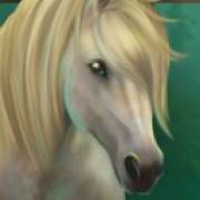 Wild Wild Horses: Cavallo bianco