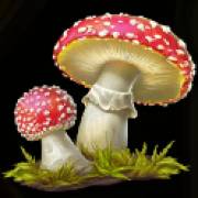 Wild Wild Riches: Agarico delle mosche
