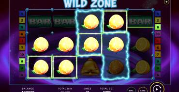Wild Zone: Vincite