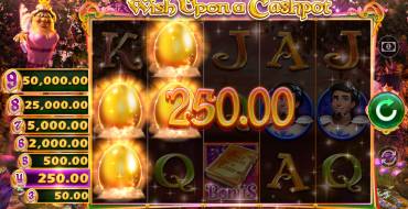 Wish Upon a Cashpot: Vincite