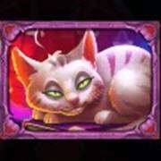 Witch Heart Megaways: Gatto