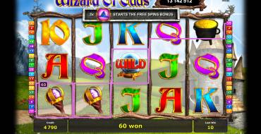 Wizard of Odds: Caratteristiche