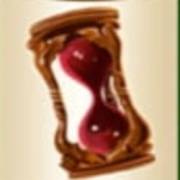 Wizard of Oz – Ruby Slippers: Orologio