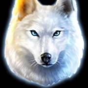Wolf Call: Lupo