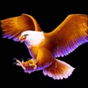 Wolf Call: Falco