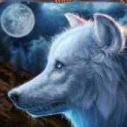 Wolf Canyon: Hold & Win: Lupo bianco