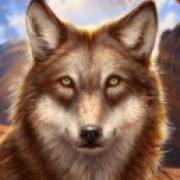 Wolf Canyon: Hold & Win: Lupo grigio
